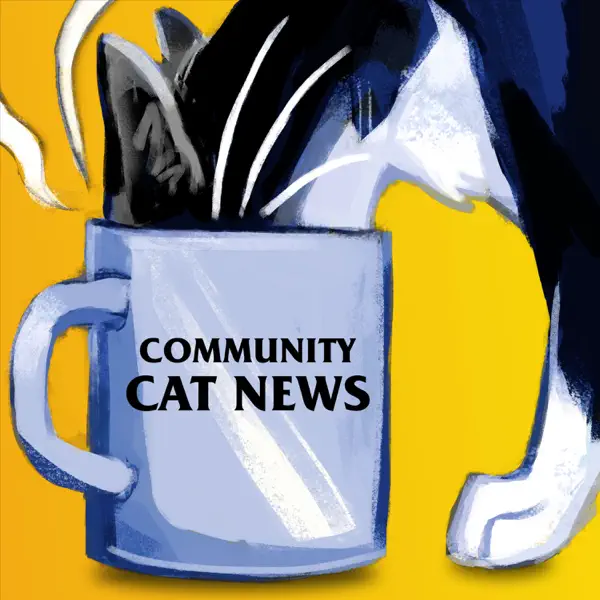 Community Cat Newa